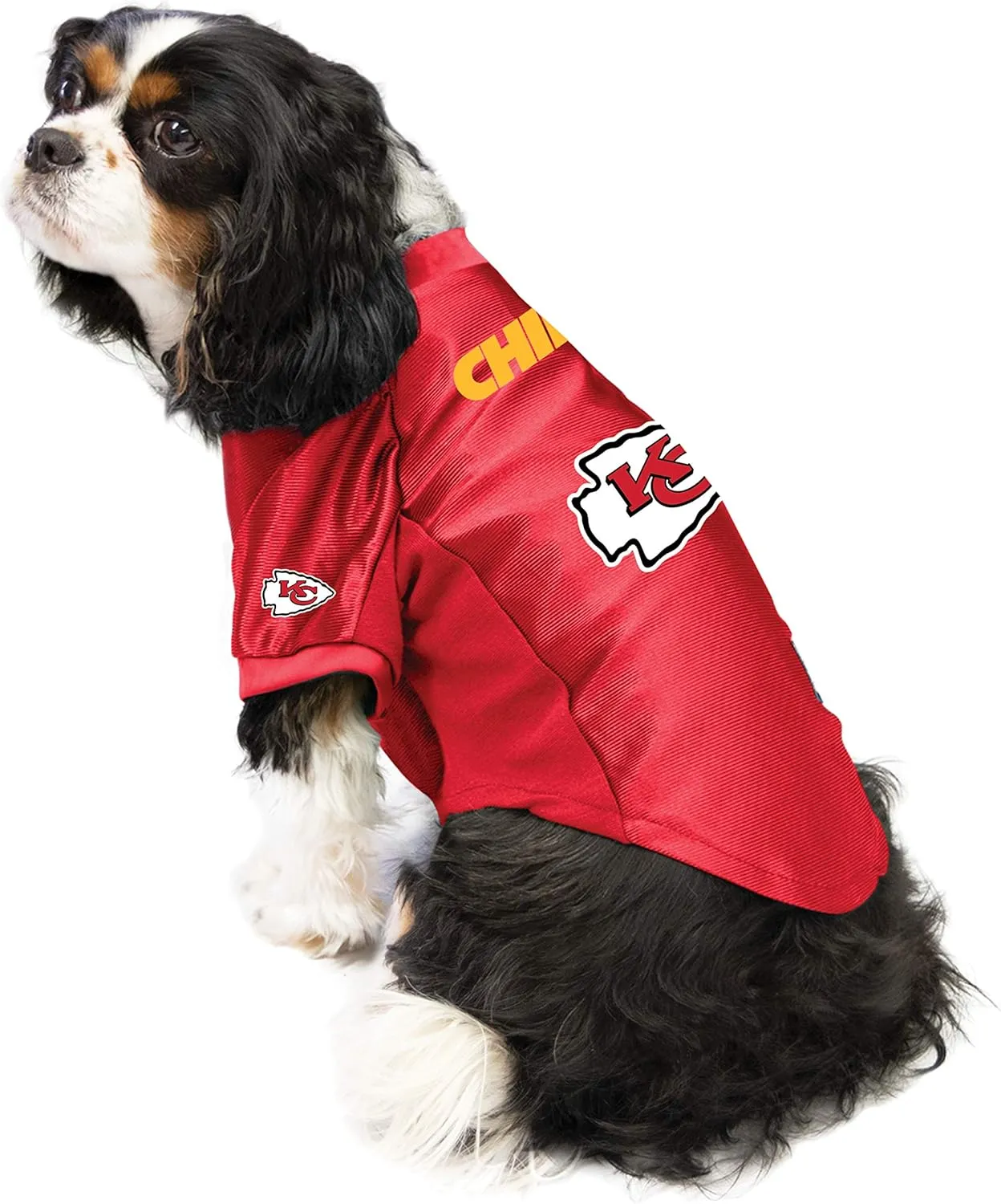 Littlearth Stretch Pet Jerseys