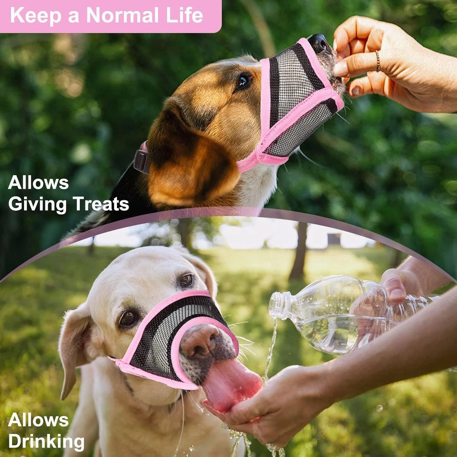 LUCKYPAW Dog Muzzle, Mesh Muzzle for Small Medium Dogs, Soft Mouth Cover to Prevent Biting Chewing, Drinkable Breathable Adjustable Puppy Mouth Guard(M(Snout: 5¼"-7"), Pink)