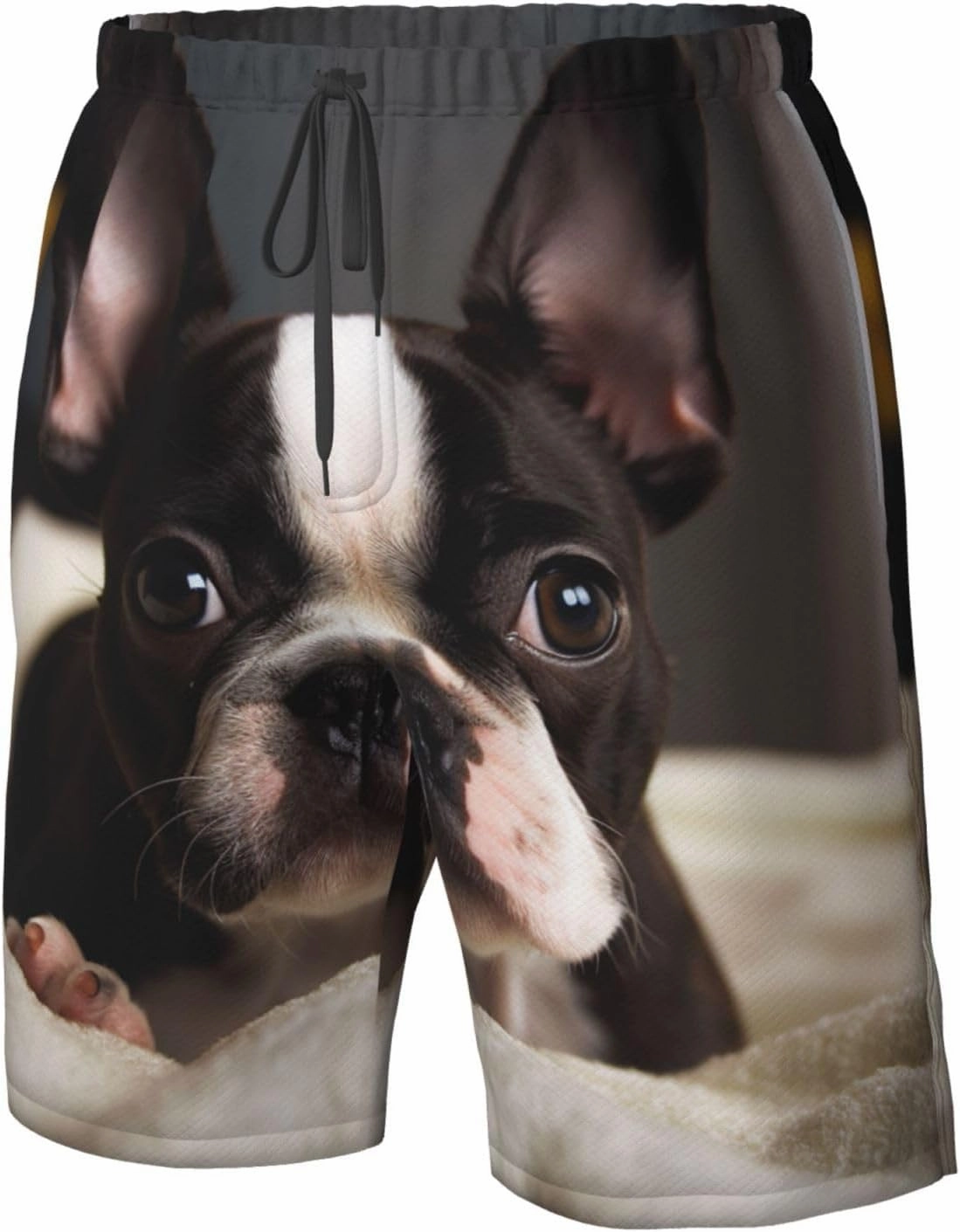 Men's Swim Trunks Cute Boston Terrier Quick Dry Board Shorts with Pocket Swimsuit Swimwear for Men Beach Shorts