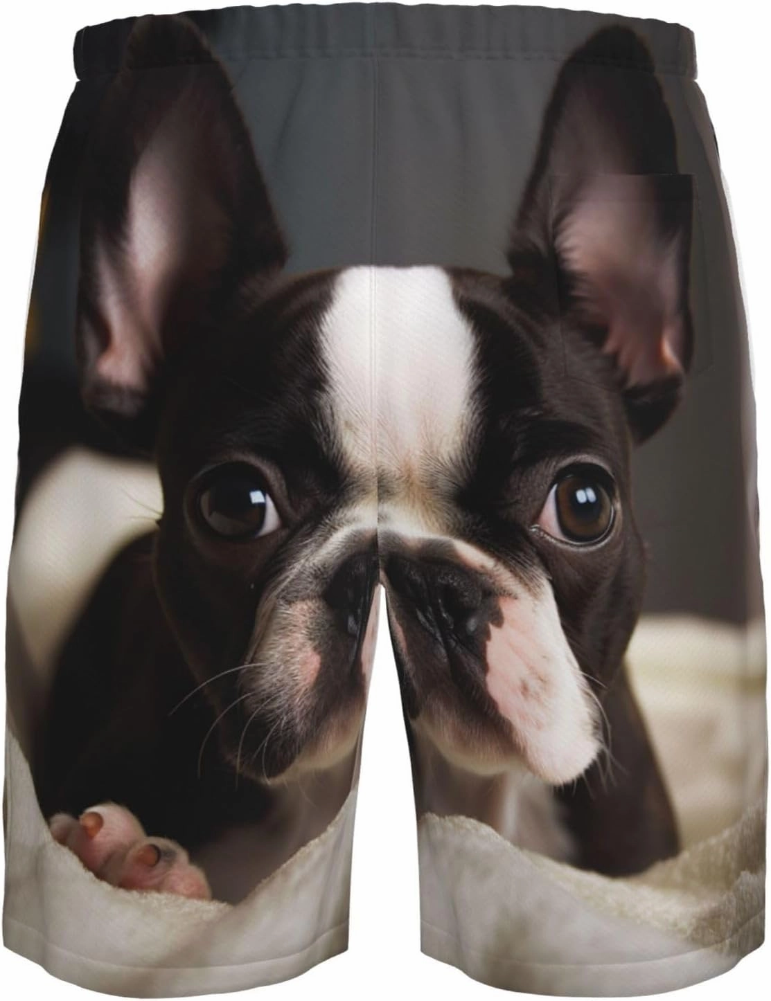 Men's Swim Trunks Cute Boston Terrier Quick Dry Board Shorts with Pocket Swimsuit Swimwear for Men Beach Shorts