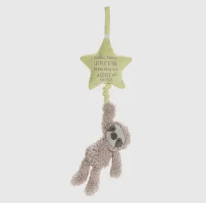 Musical Pull Toy - Sloth