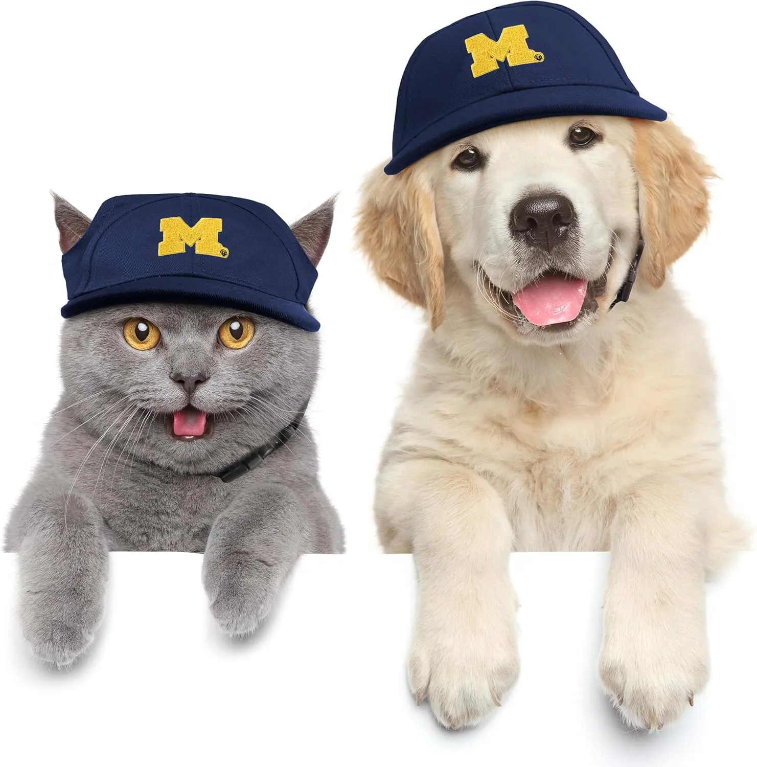 NCAA Pet Baseball Hat