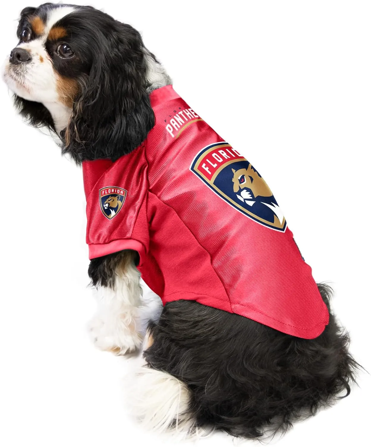 NHL Stretch Pet Jersey