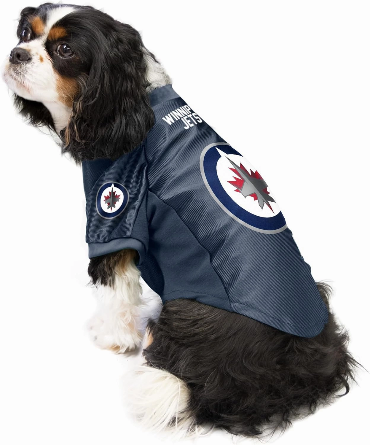 NHL Stretch Pet Jersey