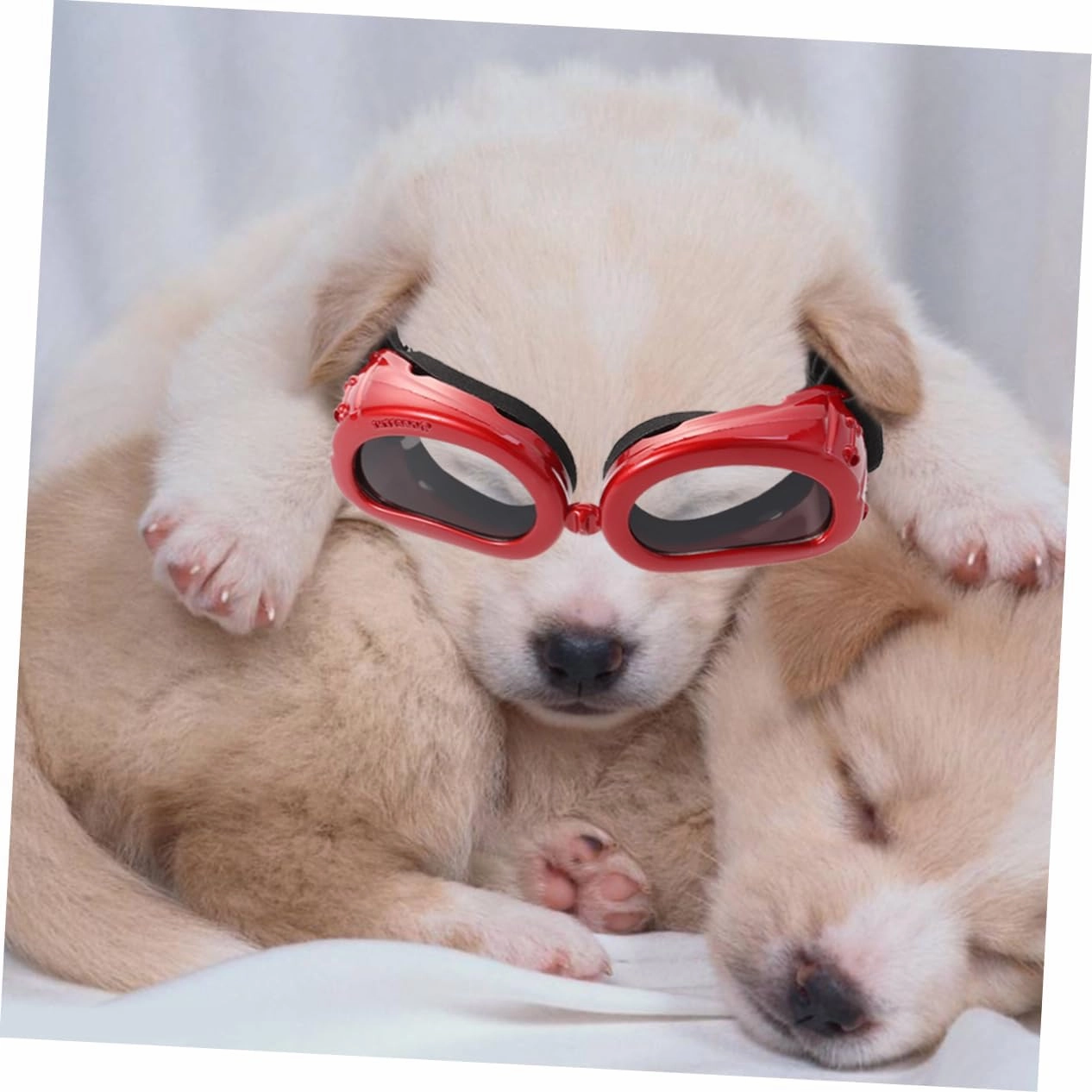 NOLITOY 2pcs Dog Sunglasses Eye Protection Goggles with Uv Shield for Small Breeds Adjustable Straps Pet Glasses