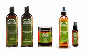Organic Post-Treatment Maintenance Keratin Set (Shampoo 16oz, Conditioner 16oz, Mask 8oz, Leave-In Spray 8oz, Argan Oil 2oz) - Salt & Sulfate Free - For Damaged, Thin and Dry Hair
