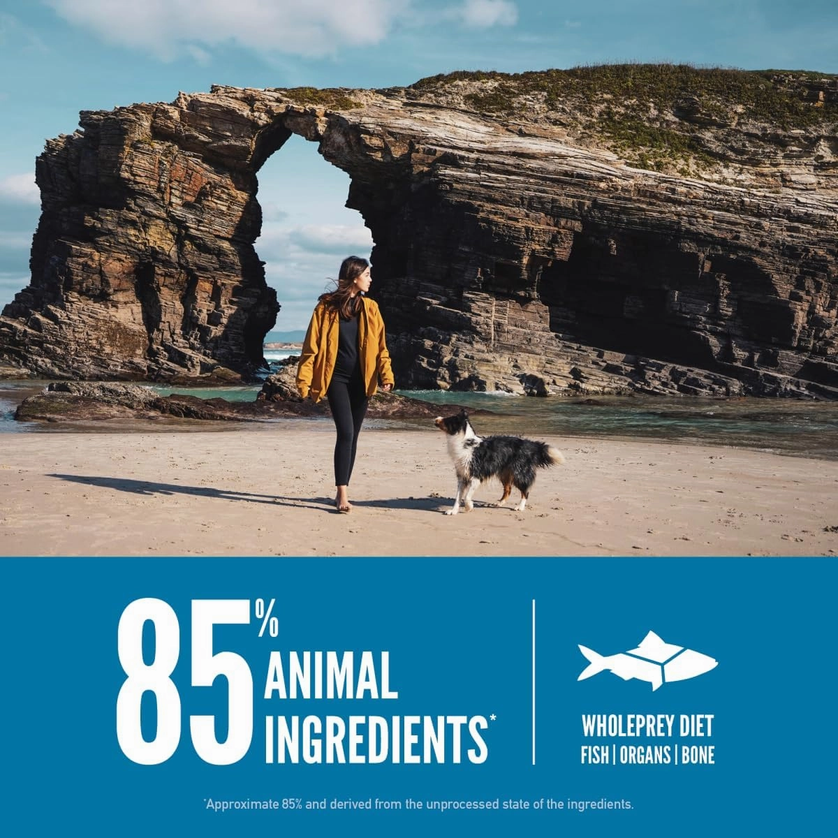 ORIJEN Six Fish Dry Dog Food, Grain Free and Chicken Free Dog Food, Fresh or Raw Ingredients, 13lb