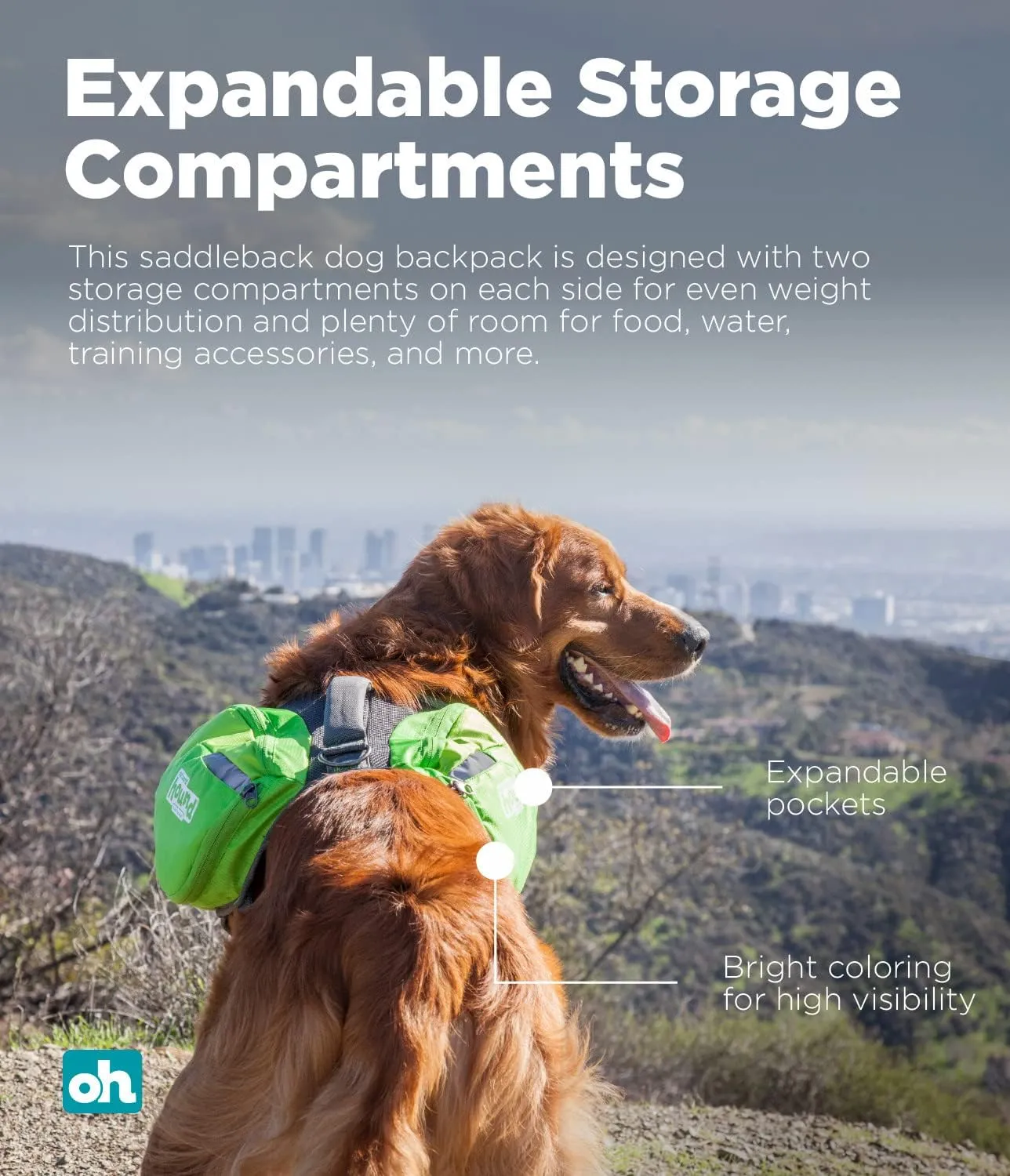 Outward Hound DayPak Green Dog Saddleback Backpack, Large