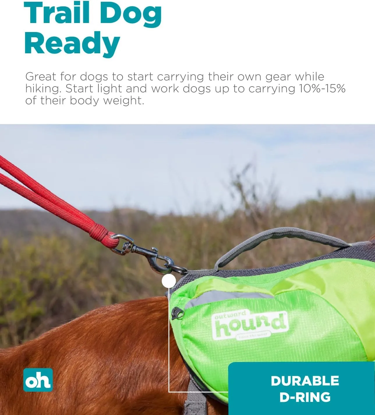 Outward Hound DayPak Green Dog Saddleback Backpack, Large