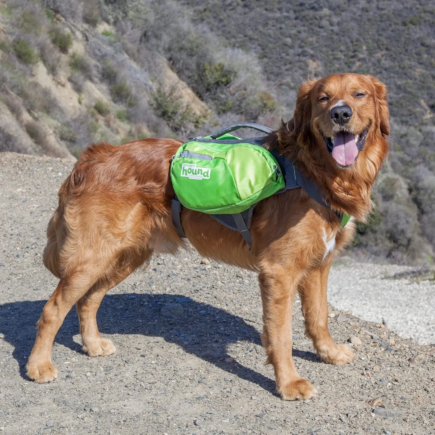 Outward Hound DayPak Green Dog Saddleback Backpack, Large