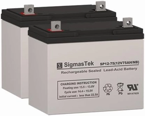 Permobil Chairman Minivertical Wheelchair Deep Cycle Battery 12V 75AH Replacement