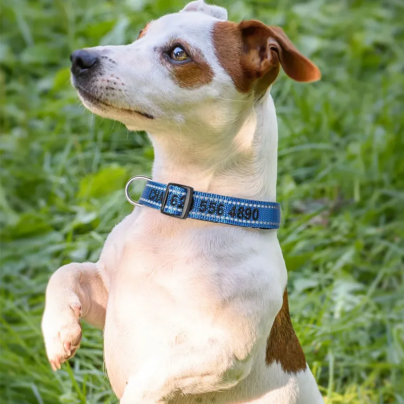 Personalized Adjustable Reflective Strip Dog Collar