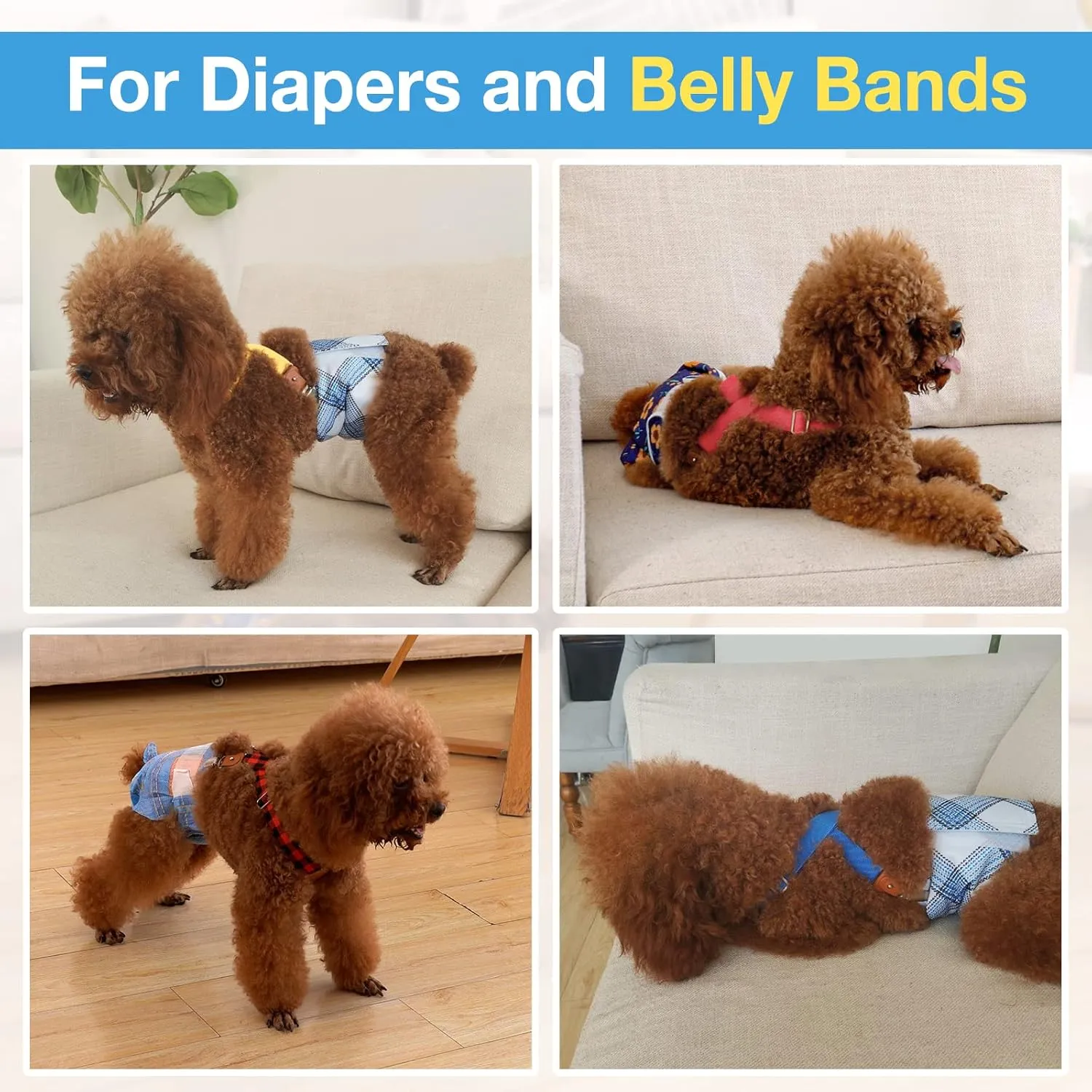 Pet Soft Dog Suspenders 2 Pieces Female Dog Diaper Suspenders for Dogs Diaper Keeper Suspender for Doggy Skirt, Dress, Diapers (Gold & Blue, S/M)