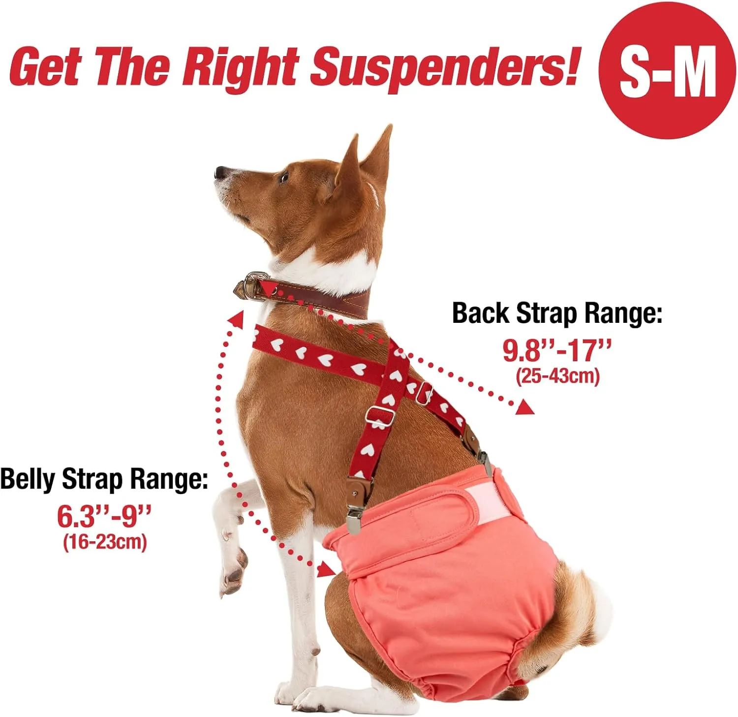 Pet Soft Dog Suspenders 2 Pieces Female Dog Diaper Suspenders for Dogs Diaper Keeper Suspender for Doggy Skirt, Dress, Diapers (Gold & Blue, S/M)