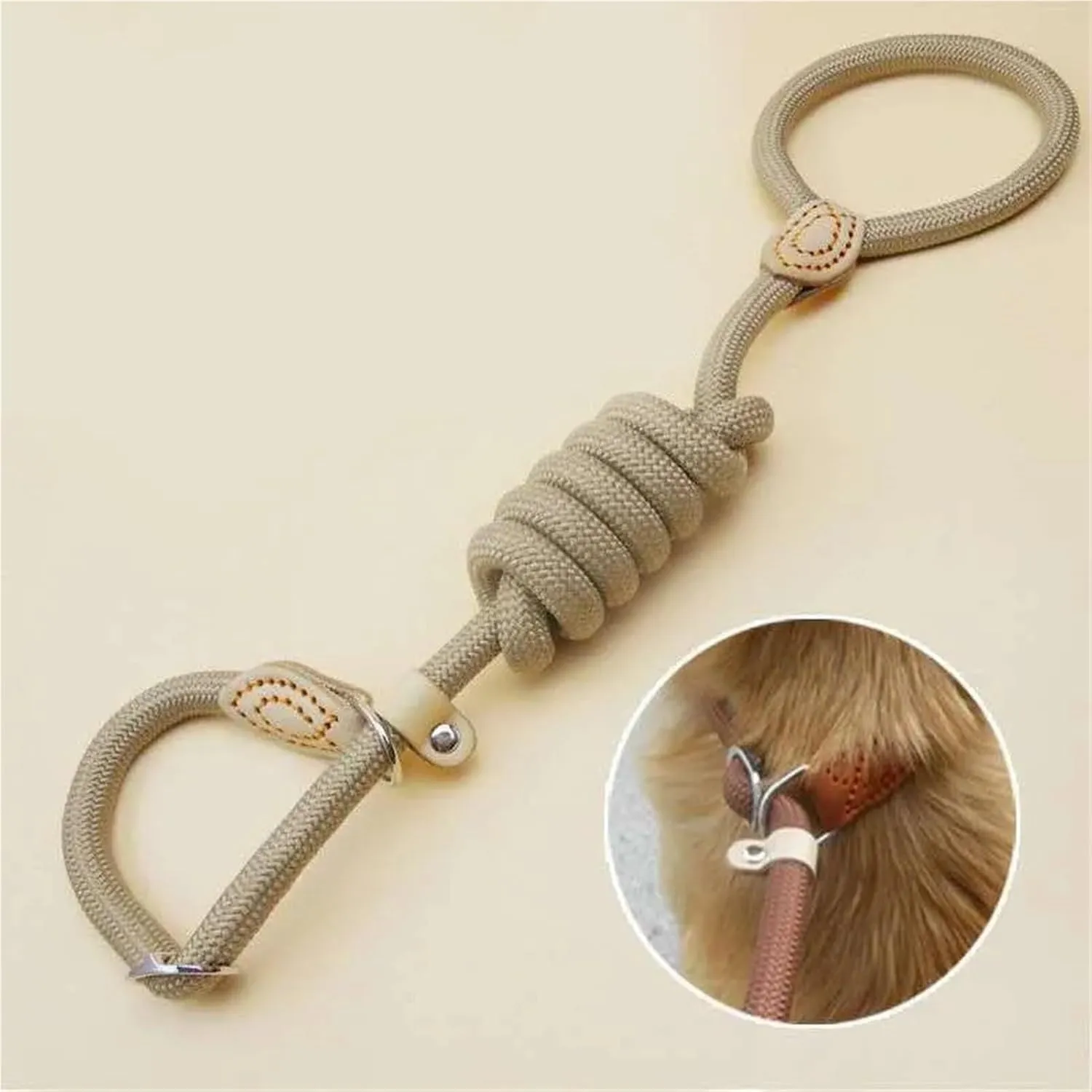 Pet Traction Rope P Chain Dog Leash Slip Collar pet Walking Leads Nylon Dog Mountain Climbing Rope Puppy pet Traction Small Medium Large Dogs Comfortable Outdoor Vest pet(Blue,1cmX150cm)