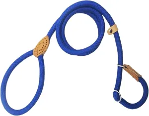 Pet Traction Rope P Chain Dog Leash Slip Collar pet Walking Leads Nylon Dog Mountain Climbing Rope Puppy pet Traction Small Medium Large Dogs Comfortable Outdoor Vest pet(Blue,1cmX150cm)