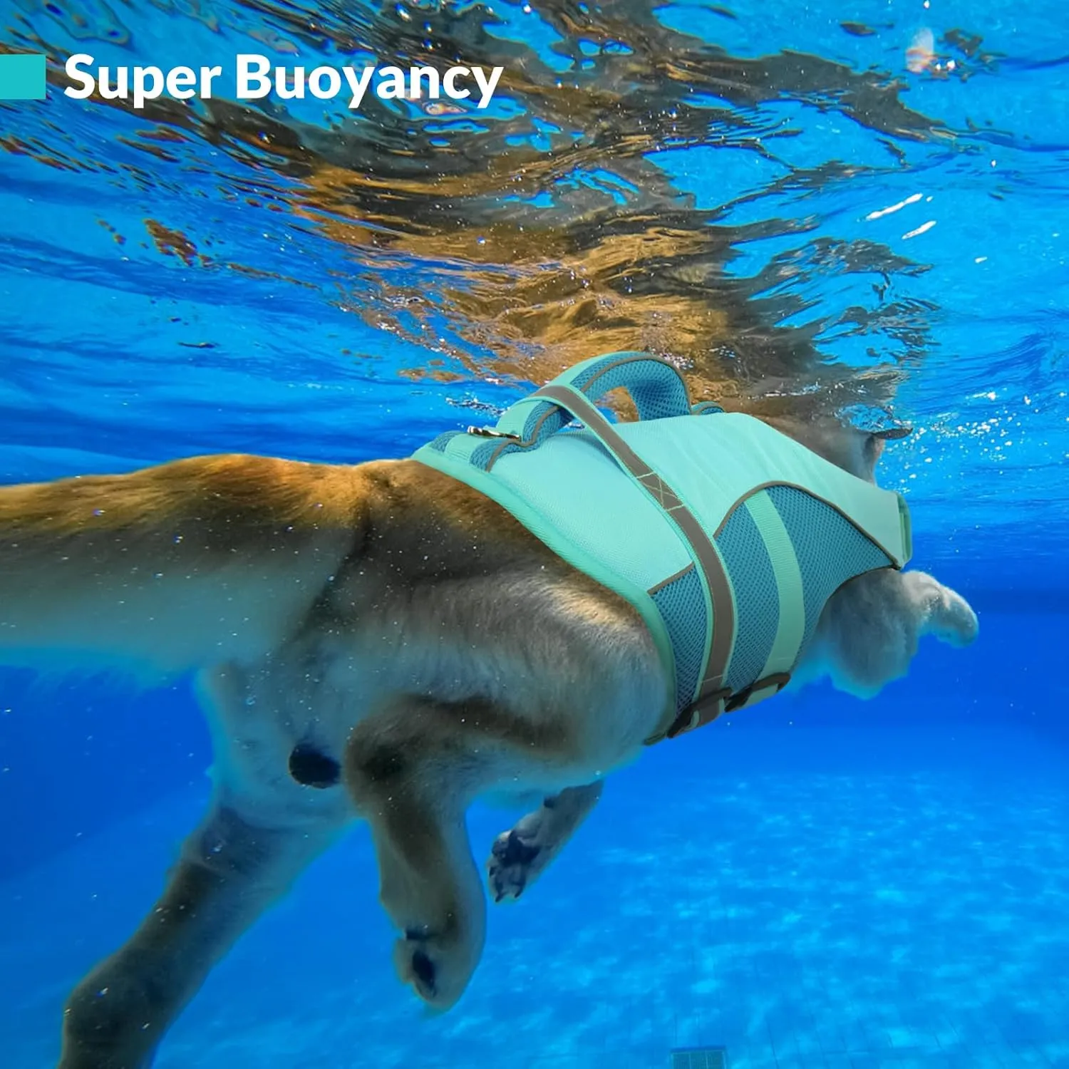 Queenmore Dog Life Vest for Swimming Boating, Adjustable Ripstop Dog Life Jacket, Lifesaver with Superior Buoyancy and Rescue Handle, Swimming Vest for Medium Dogs（LightBlue,M）