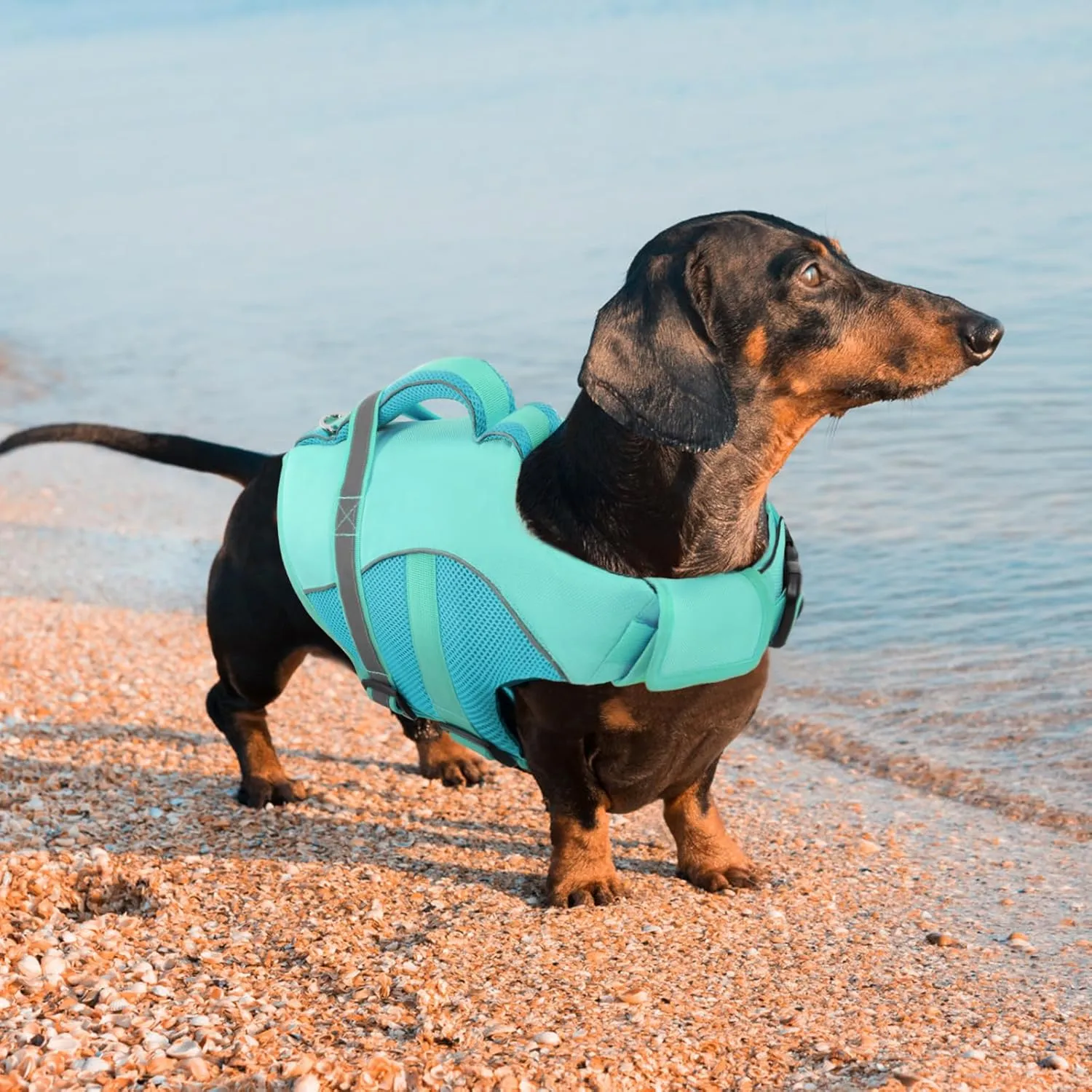 Queenmore Dog Life Vest for Swimming Boating, Adjustable Ripstop Dog Life Jacket, Lifesaver with Superior Buoyancy and Rescue Handle, Swimming Vest for Medium Dogs（LightBlue,M）