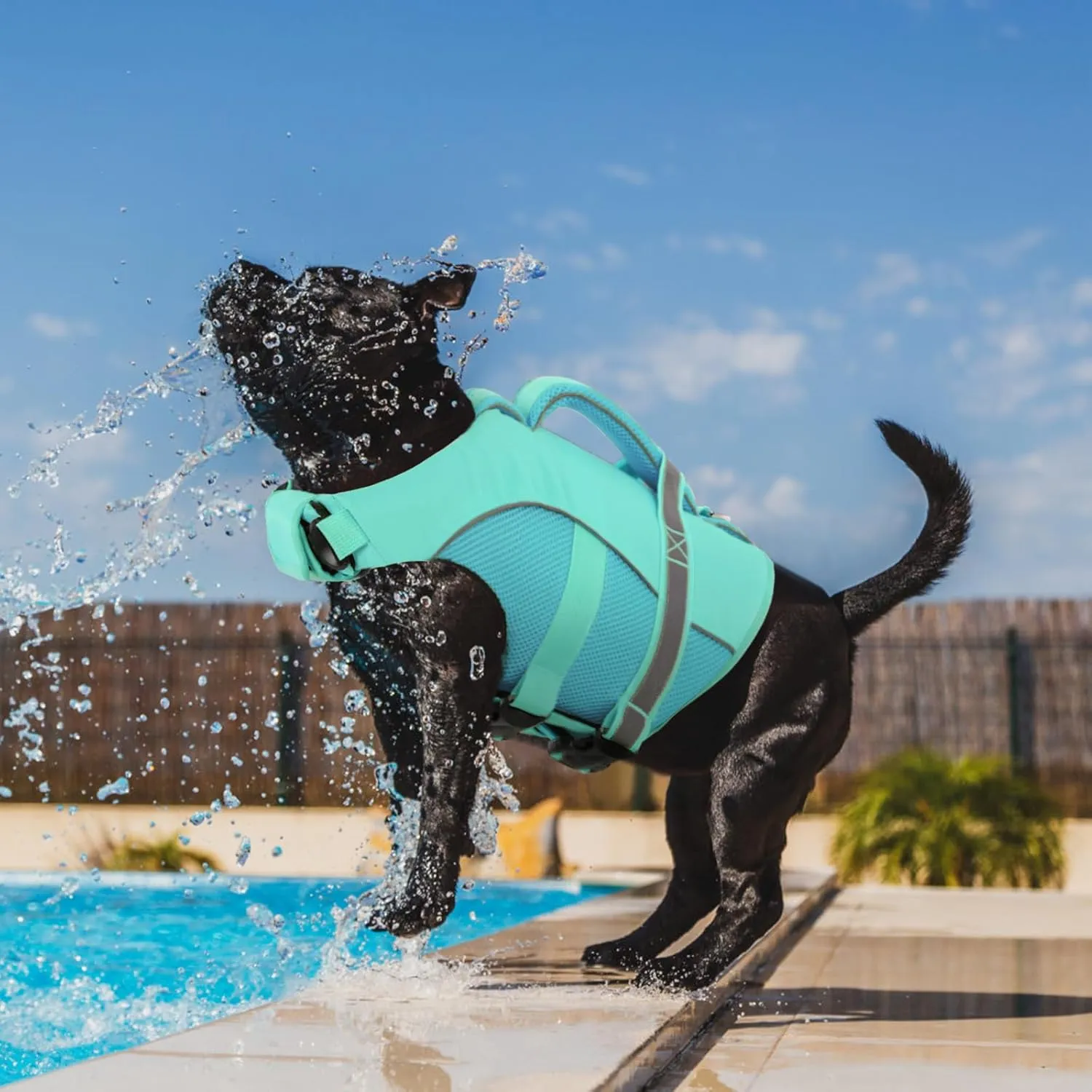 Queenmore Dog Life Vest for Swimming Boating, Adjustable Ripstop Dog Life Jacket, Lifesaver with Superior Buoyancy and Rescue Handle, Swimming Vest for Medium Dogs（LightBlue,M）