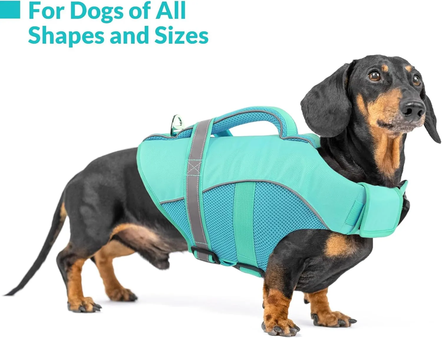 Queenmore Dog Life Vest for Swimming Boating, Adjustable Ripstop Dog Life Jacket, Lifesaver with Superior Buoyancy and Rescue Handle, Swimming Vest for Medium Dogs（LightBlue,M）