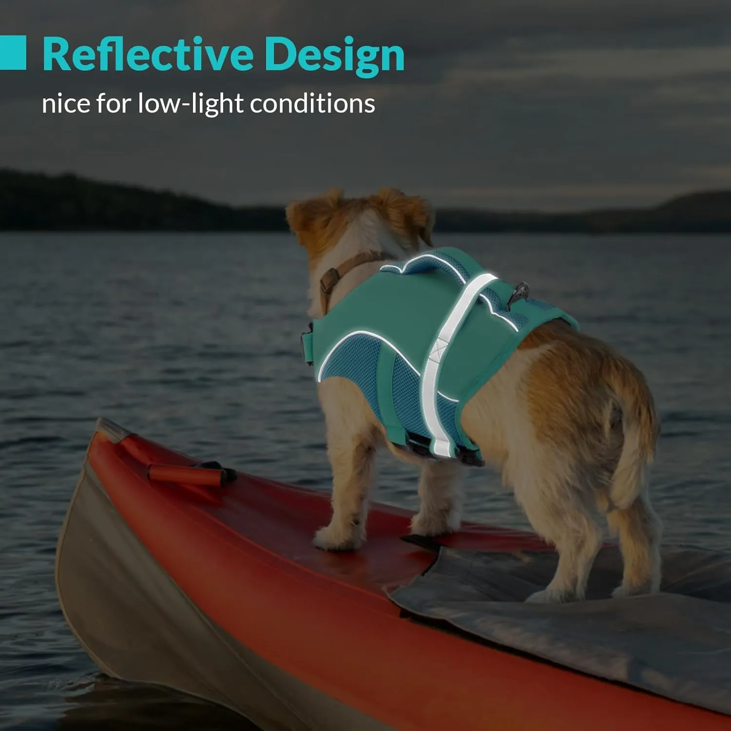 Queenmore Dog Life Vest for Swimming Boating, Adjustable Ripstop Dog Life Jacket, Lifesaver with Superior Buoyancy and Rescue Handle, Swimming Vest for Medium Dogs（LightBlue,M）