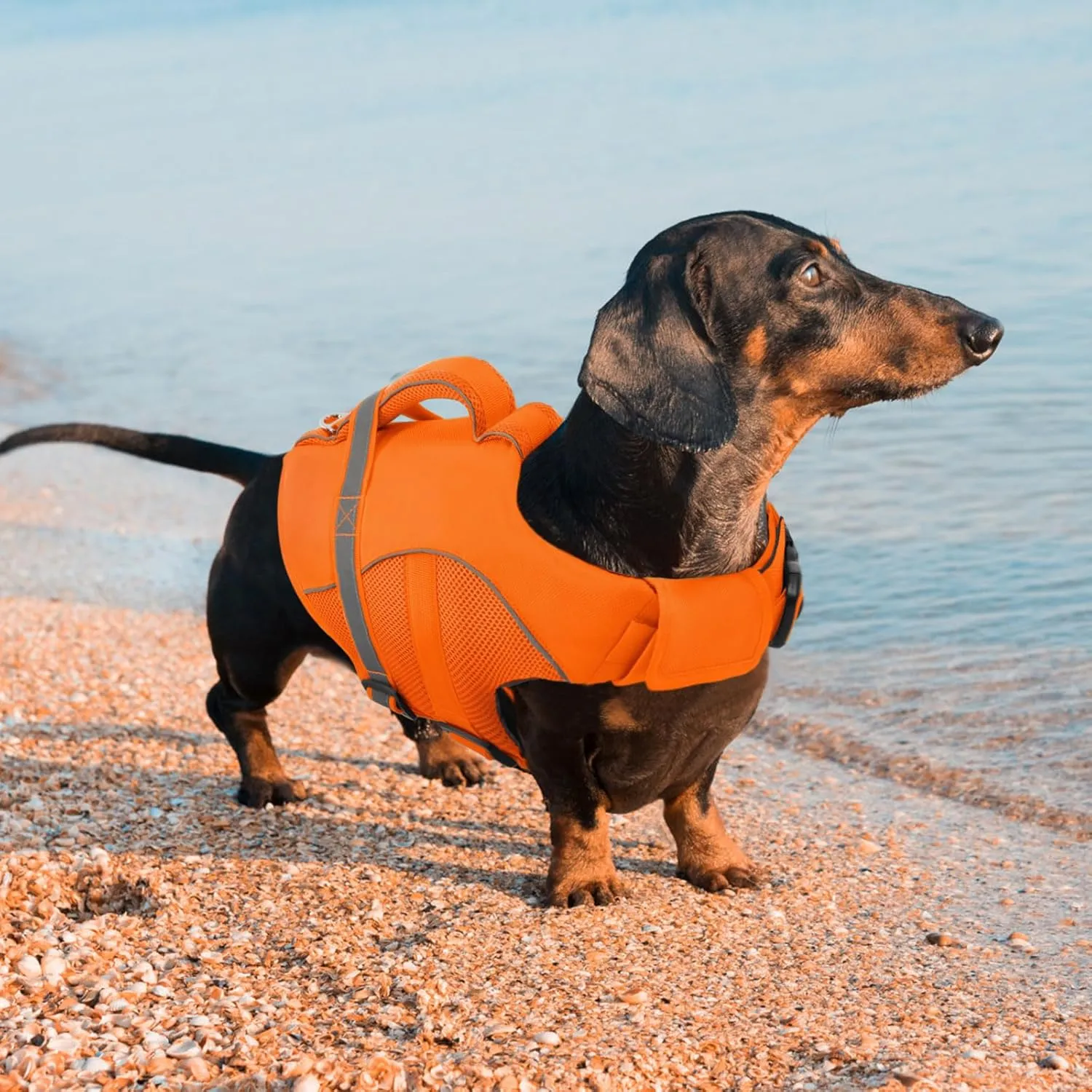 Queenmore Dog Life Vests for Boating, Adjustable Ripstop Dog Life Jacket, Dog Lifesaver with Superior Buoyancy and Rescue Handle, Dog Swimming Vest for X-Large Dogs（Orange,XL）