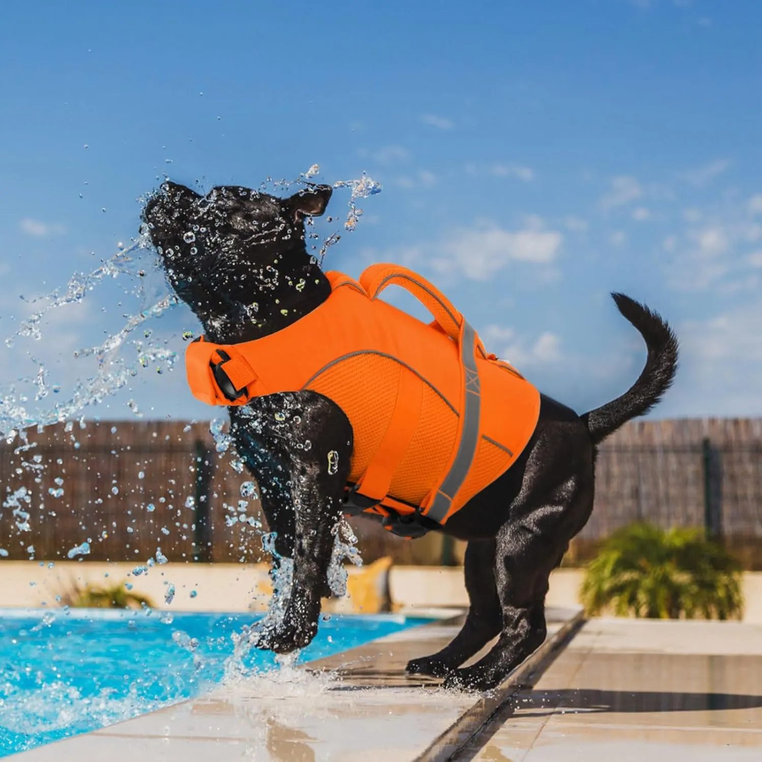 Queenmore Dog Life Vests for Boating, Adjustable Ripstop Dog Life Jacket, Dog Lifesaver with Superior Buoyancy and Rescue Handle, Dog Swimming Vest for X-Large Dogs（Orange,XL）