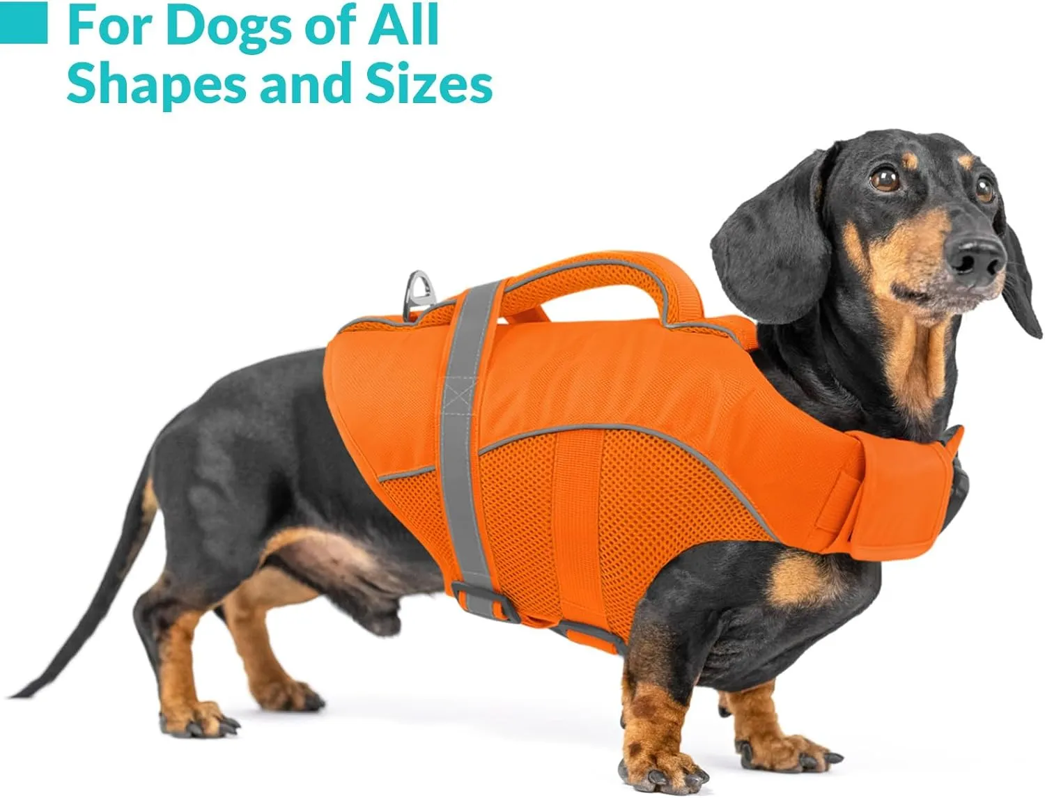 Queenmore Dog Life Vests for Boating, Adjustable Ripstop Dog Life Jacket, Dog Lifesaver with Superior Buoyancy and Rescue Handle, Dog Swimming Vest for X-Large Dogs（Orange,XL）