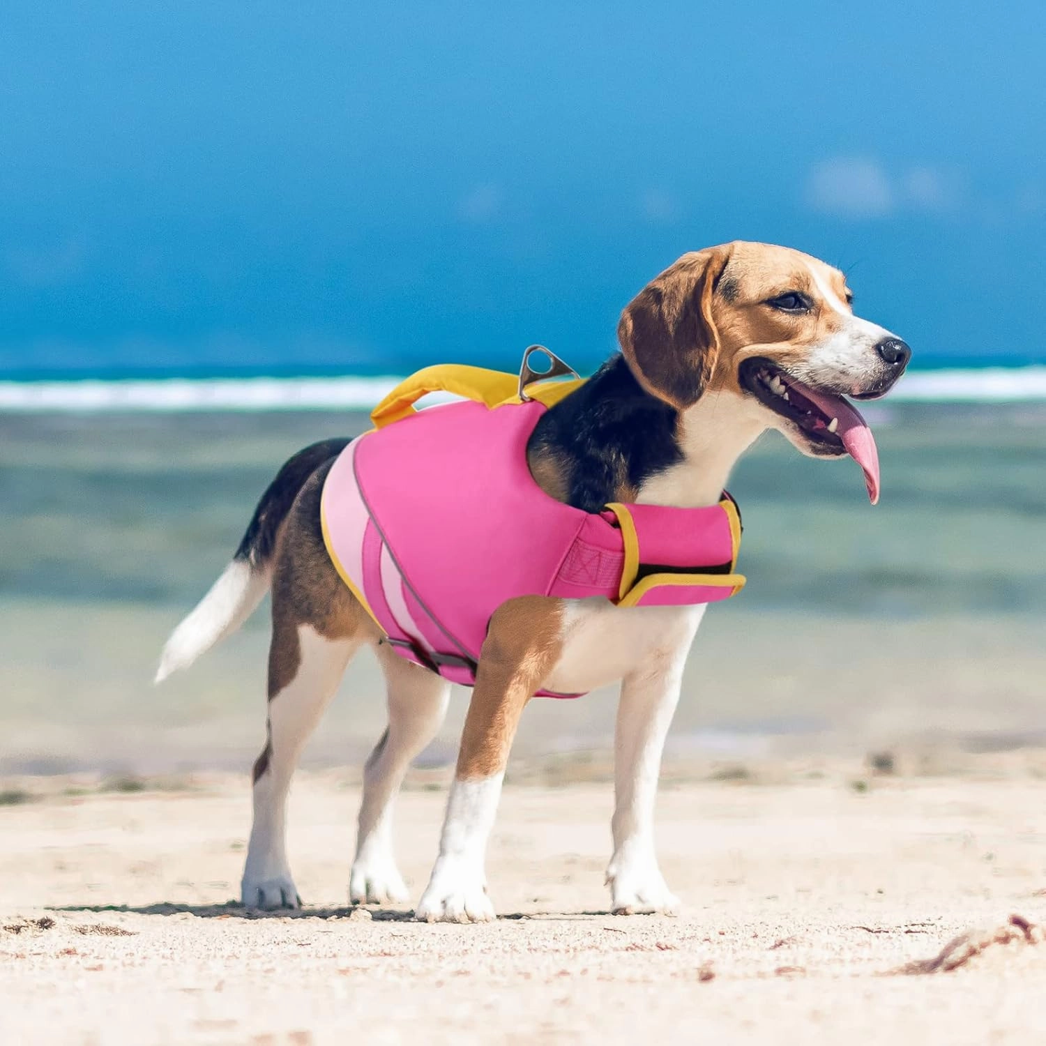 Queenmore Dog Life Jacket,Dog Life Vest for Swimming Boating,Life Jackets for Small Dogs,Ripstop Pet Life Vests with Strong Rescue Pink,S