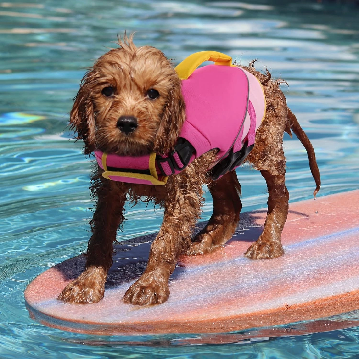 Queenmore Dog Life Jacket,Dog Life Vest for Swimming Boating,Life Jackets for Small Dogs,Ripstop Pet Life Vests with Strong Rescue Pink,S