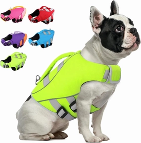 Queenmore Small Dog Life Jacket, Dog Life Vest for Swimming Boating, Puppy Life Jackets for Small Dogs, Ripstop Pet Life Vests with Rescue Handle Leash Hole, Safety Water Floating Vest, Hi-Vis Green
