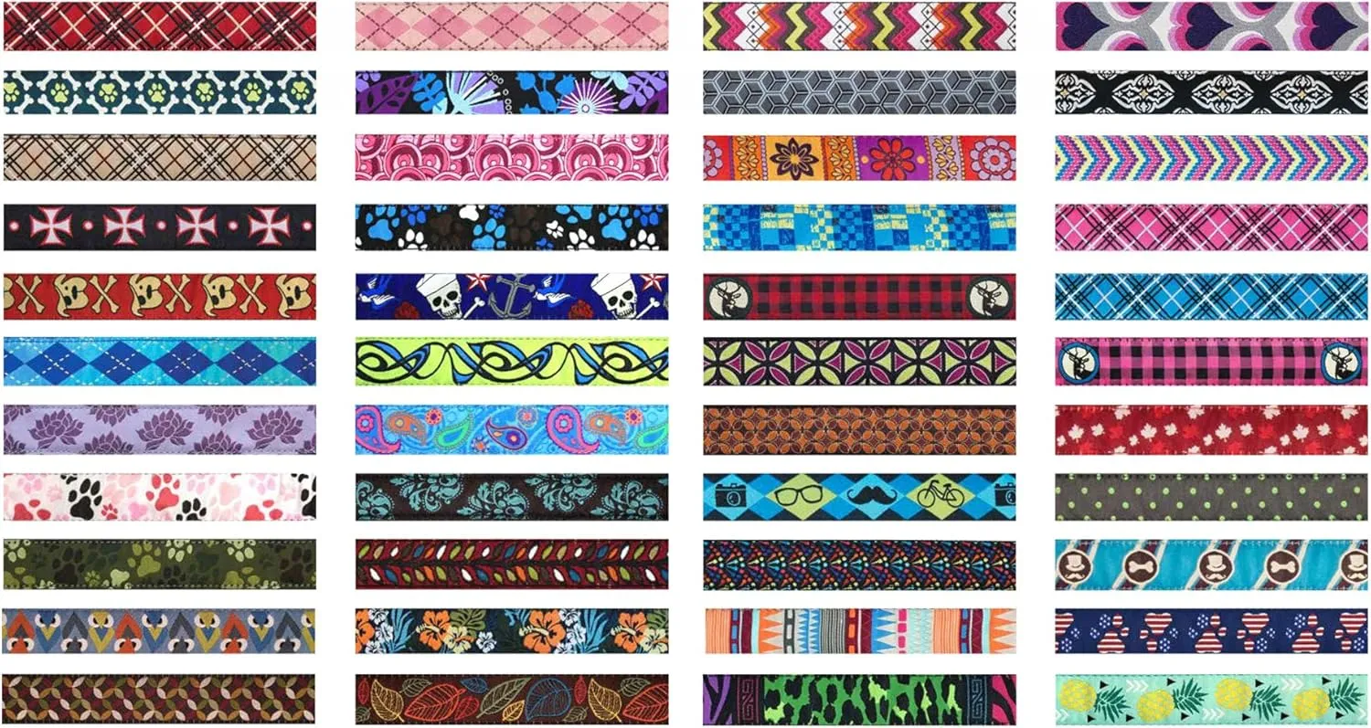RC Pets 1 Inch Adjustable Dog Clip Collar, Large, Tropical Paisley,L (Neck: 15"-25", Strap Width: 1")
