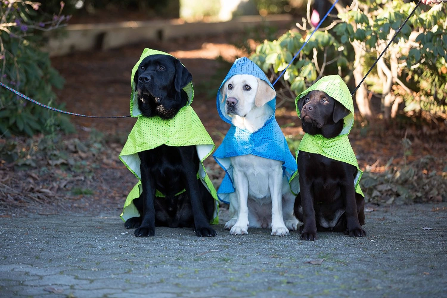 RC Pet Products Packable Dog Rain Poncho, XX-Large, Lime Halftone