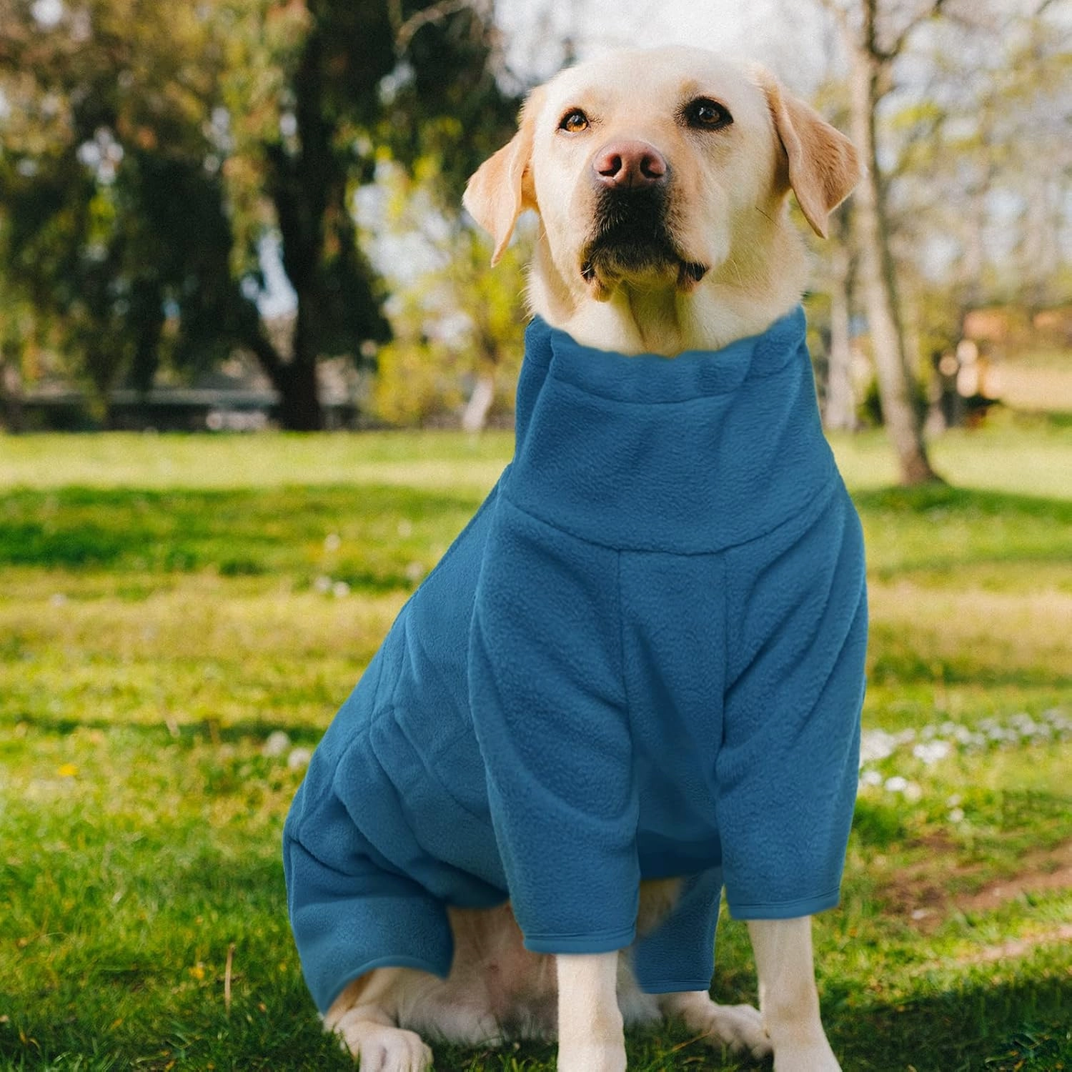 ROZKITCH Dog Winter Coat Soft Fleece Pullover Pajamas, Pet Windproof Warm Cold Weather Jacket Vest Cozy Jumpsuit Apparel Outfit Clothes for Small Medium Large Dog Walking Sleep 2XS