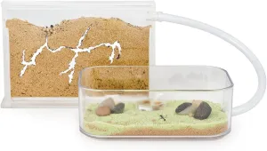 Sand Ant Farm Basic - Educational formicarium for Live Ants