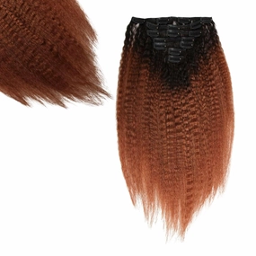 SIYUSI Kinky Straight Clip In Extensions, 100% Brazilian Remy Human Hair Clip Ins, Scalp-Friendly Invisible Clips, Chocolate Brown Ombre, 3.52oz, 7Pcs (20 Inch)