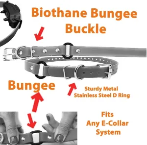 Sparky Pet Co - 3/4" ECollar Replacement Strap - Bungee Loop Dog Collar - Waterproof Biothane - Adjustable - Metal Clasp - for Invisible Fence Systems,Red