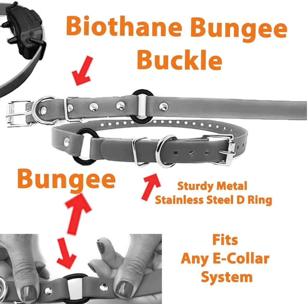 Sparky Pet Co - 3/4" ECollar Replacement Strap - Bungee Loop Dog Collar - Waterproof Biothane - Adjustable - Metal Clasp - for Invisible Fence Systems,Red
