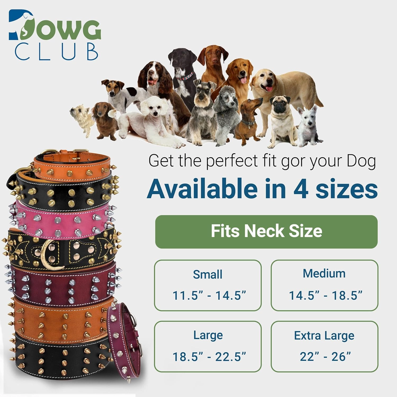 Spiked Leather Dog Collar – 1.75" Wide Full Grain Bridle Leather, Heavy Duty, Padded & Adjustable - for Medium Breeds (M (Fit Neck 14.5"-18.5"), Black with Gold Spikes)
