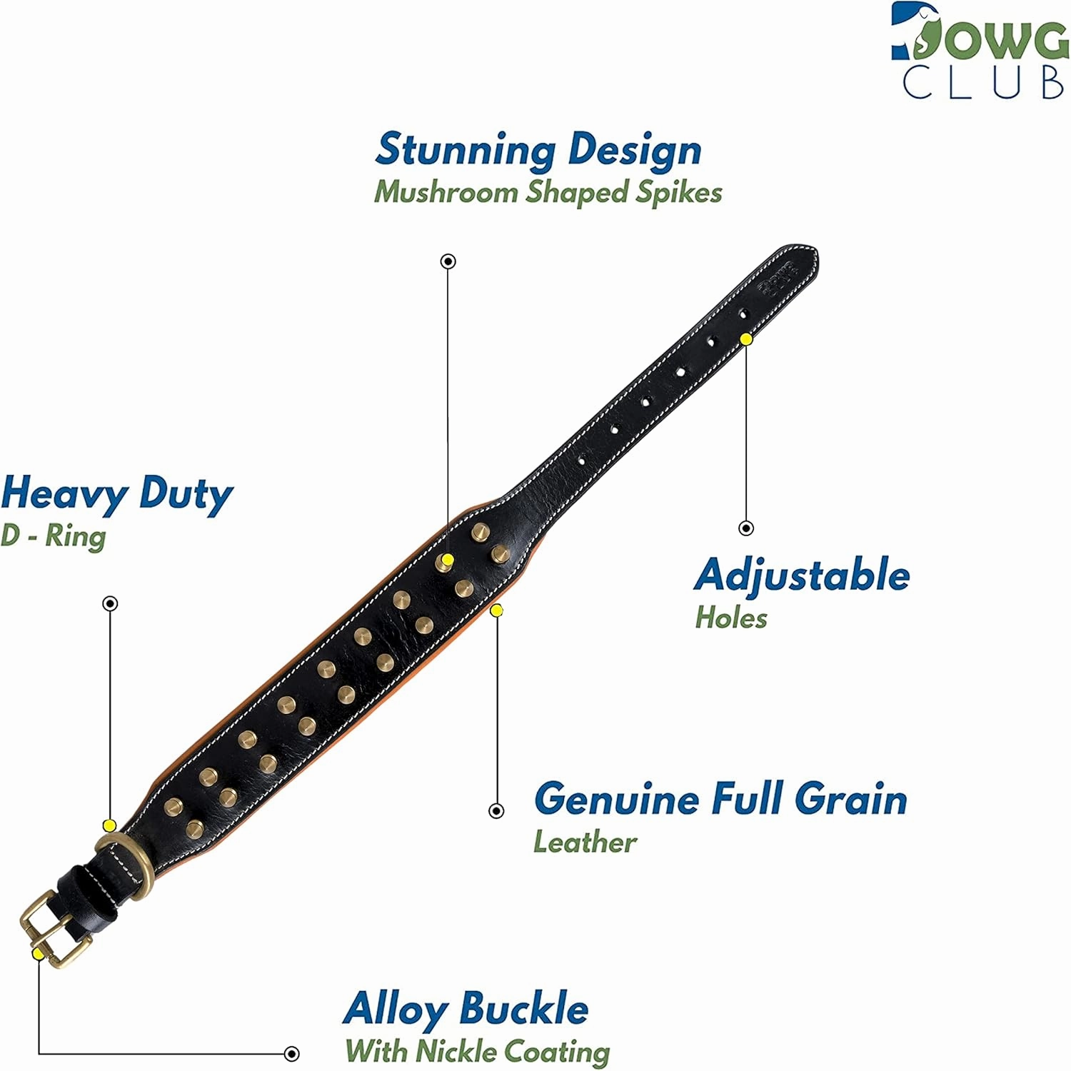 Spiked Leather Dog Collar – 1.75" Wide Full Grain Bridle Leather, Heavy Duty, Padded & Adjustable - for Medium Breeds (M (Fit Neck 14.5"-18.5"), Black with Gold Spikes)