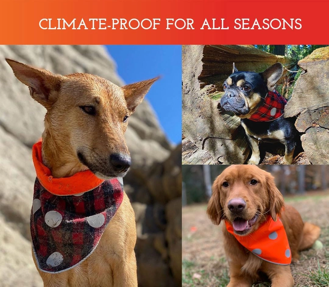 SPOT THE DOG! Reflective Dog Bandanas - Reversible High Visibility Safety Dog Accessories for Small, Large Dogs, Collar, Scarf, Bib Gear for Hunting, Walking at Night (Blaze Orange, Red Plaid, M-L)