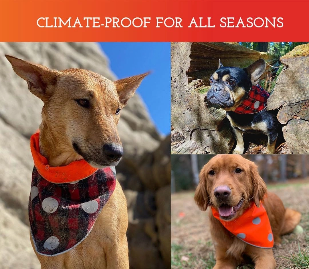 SPOT THE DOG! Reflective Dog Bandanas - Reversible High Visibility Safety Dog Accessories for Small, Large Dogs, Collar, Scarf, Bib Gear for Hunting, Walking at Night (Blaze Orange, Red Plaid, XS-S)