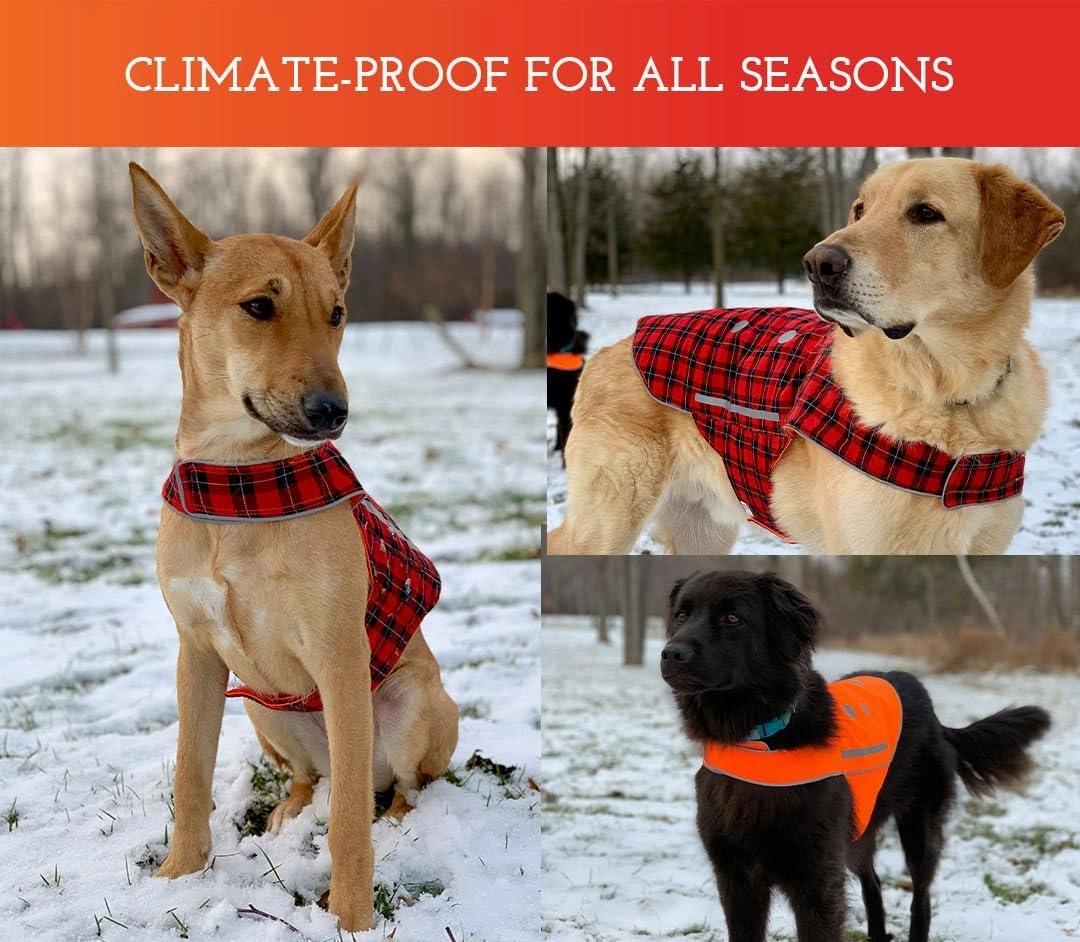 SPOT THE DOG! Reflective Dog Vest - Adjustable Safety Vest, High Visibility Fluorescent Apparel for Walking, Hiking & Camping, Hunting, Off Leash (Blaze Orange, Red Plaid, S)
