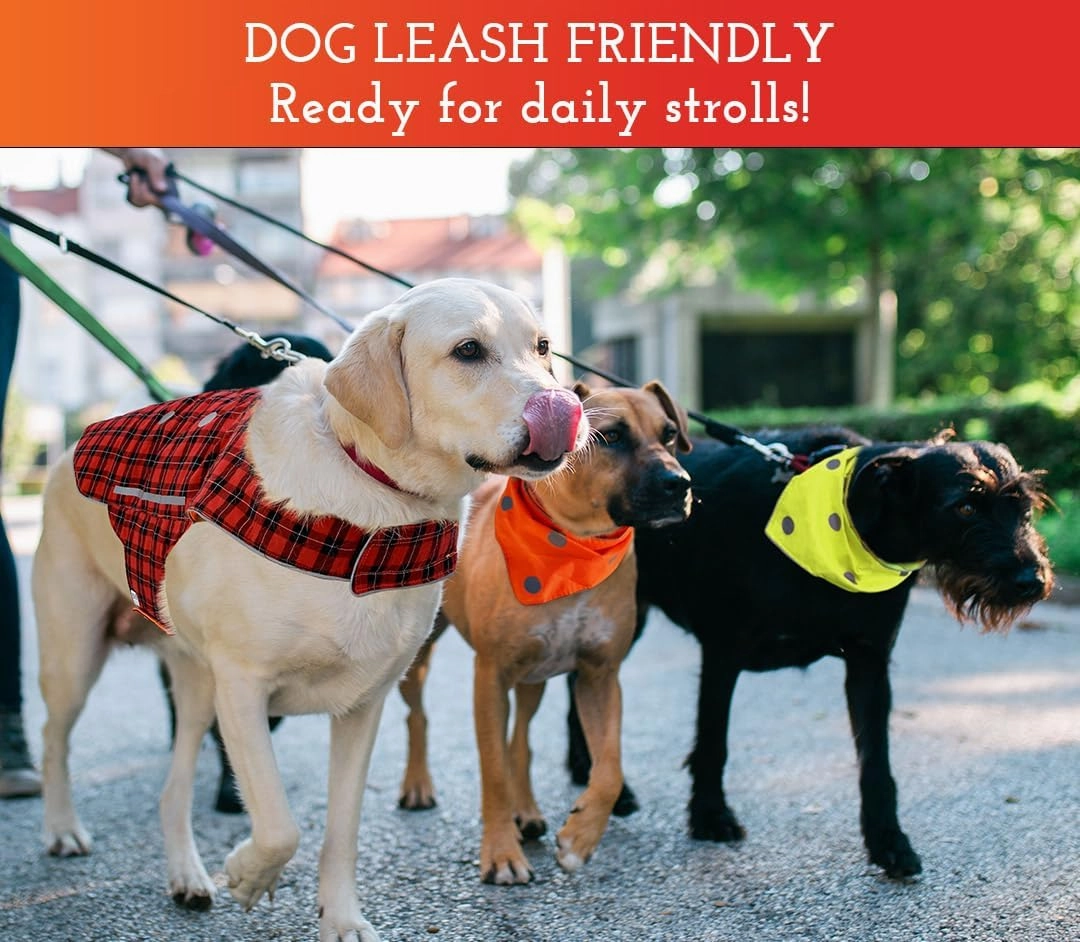 SPOT THE DOG! Reflective Dog Vest - Adjustable Safety Vest, High Visibility Fluorescent Apparel for Walking, Hiking & Camping, Hunting, Off Leash (Blaze Orange, Red Plaid, S)