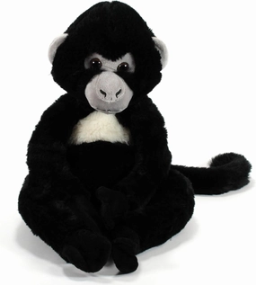 The Petting Zoo Spider Monkey Stuffed Animal Plushie, Gifts for Kids, Wild Onez Zoo Animals, Monkey Plush Toy, 12 inches