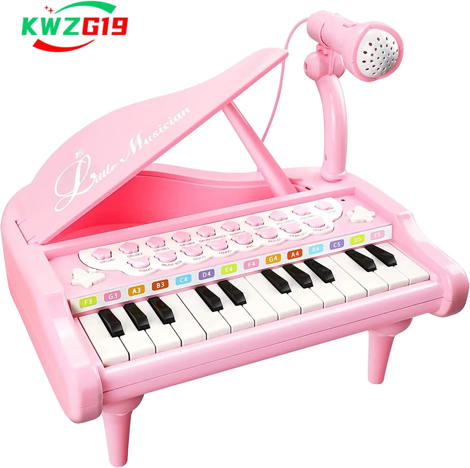 Toy Piano for Toddlers Birthday Gift, Piano Toy Keyboard for 1 2 3 4 5 Year Old Baby Gift, Toy Piano 24 Keys Multifuctional Musical Toy, Cute Musical Toy Instrument with Microphone (Pink)