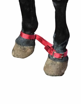 TRAIL RIDING Horse Nylon Heavy Duty Hobbles Carter Pet Supply USA (RED) (BLACK)