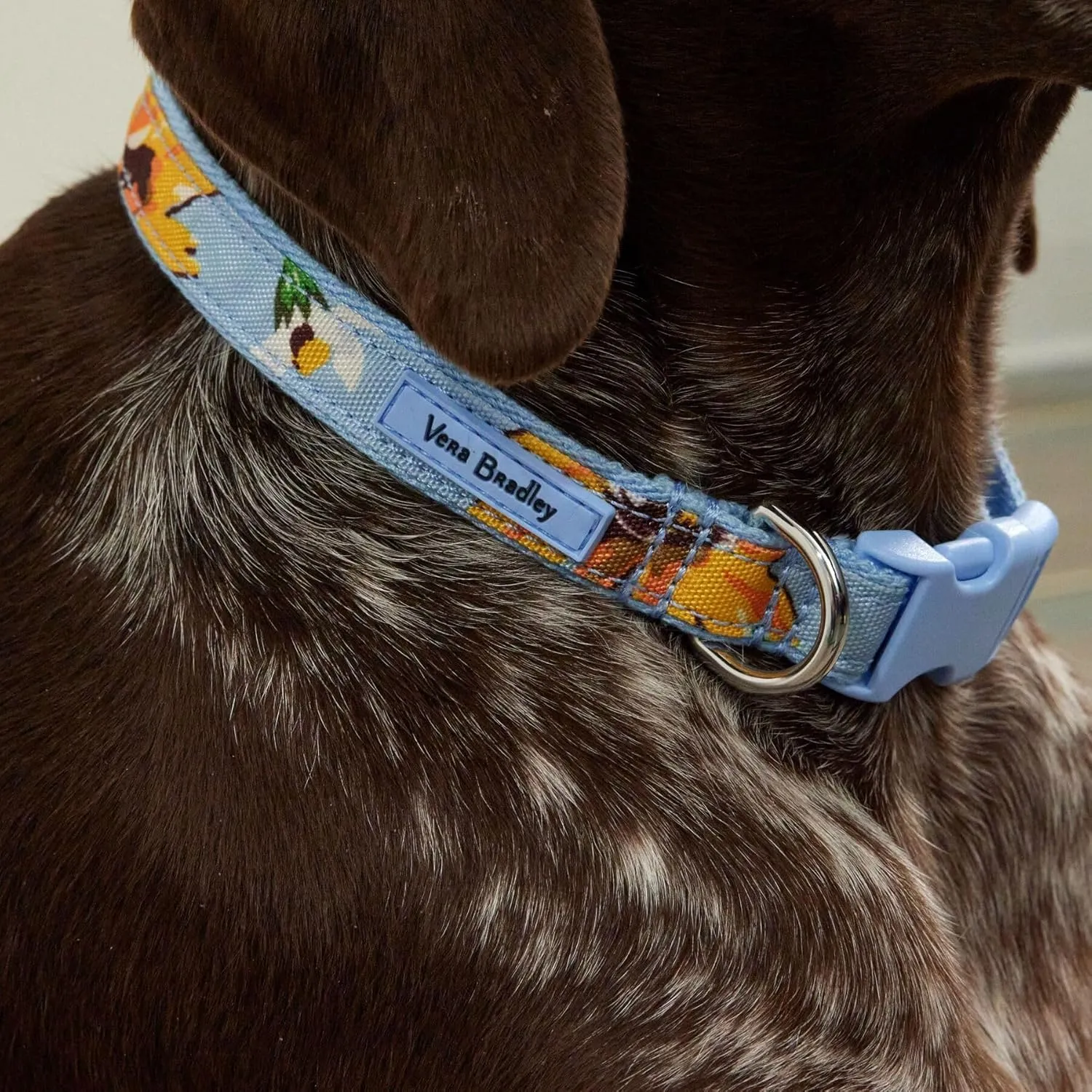 Vera Bradley Women's Recycled Lighten Up Water-repellent Adjustable Pet Collar, Tartan Plaid, Medium