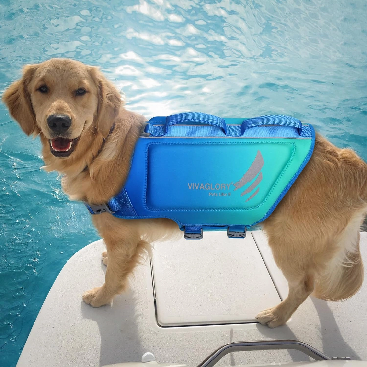 VIVAGLORY Lightweight Dog Life Jacket, Pet Life Preserver Life Vest Skin-Friendly Neoprene for Large Dogs with D-Ring and Quick Release Buckle, Turquoise