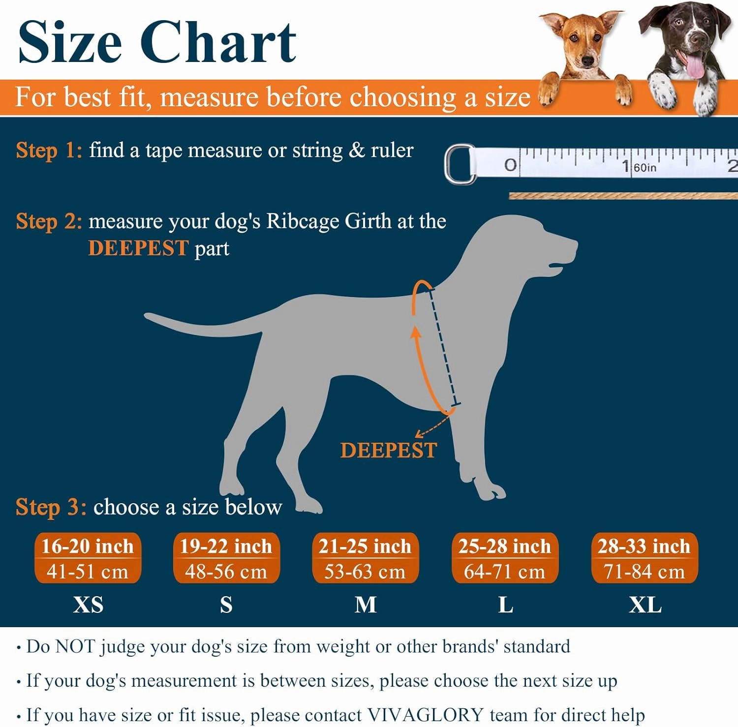 VIVAGLORY Lightweight Dog Life Jacket, Pet Life Preserver Life Vest Skin-Friendly Neoprene for Large Dogs with D-Ring and Quick Release Buckle, Turquoise